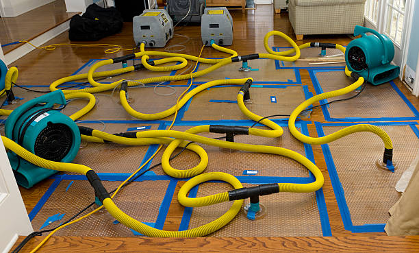 Professional Crawl Space Water Removal technician working in Jeffersonton, VA